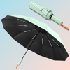 RAINWALKER™  Windproof Umbrella